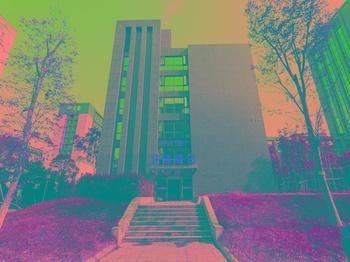 Wangsu Business Hotel Binjiang Buitenkant foto